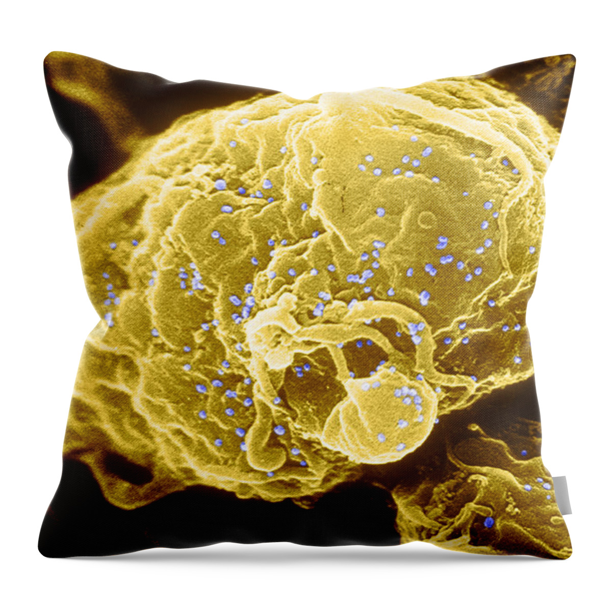 Medical Throw Pillow featuring the photograph Hiv-1 Infected T4 Lymphocyte Sem #1 by Science Source