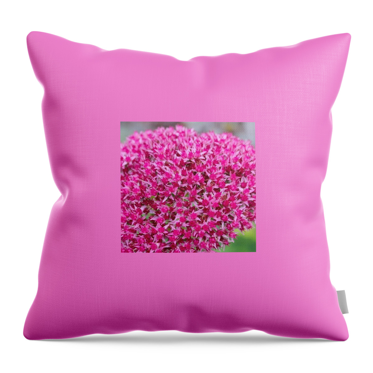 Flower Throw Pillow featuring the photograph Hot Pink #1 by Justin Connor