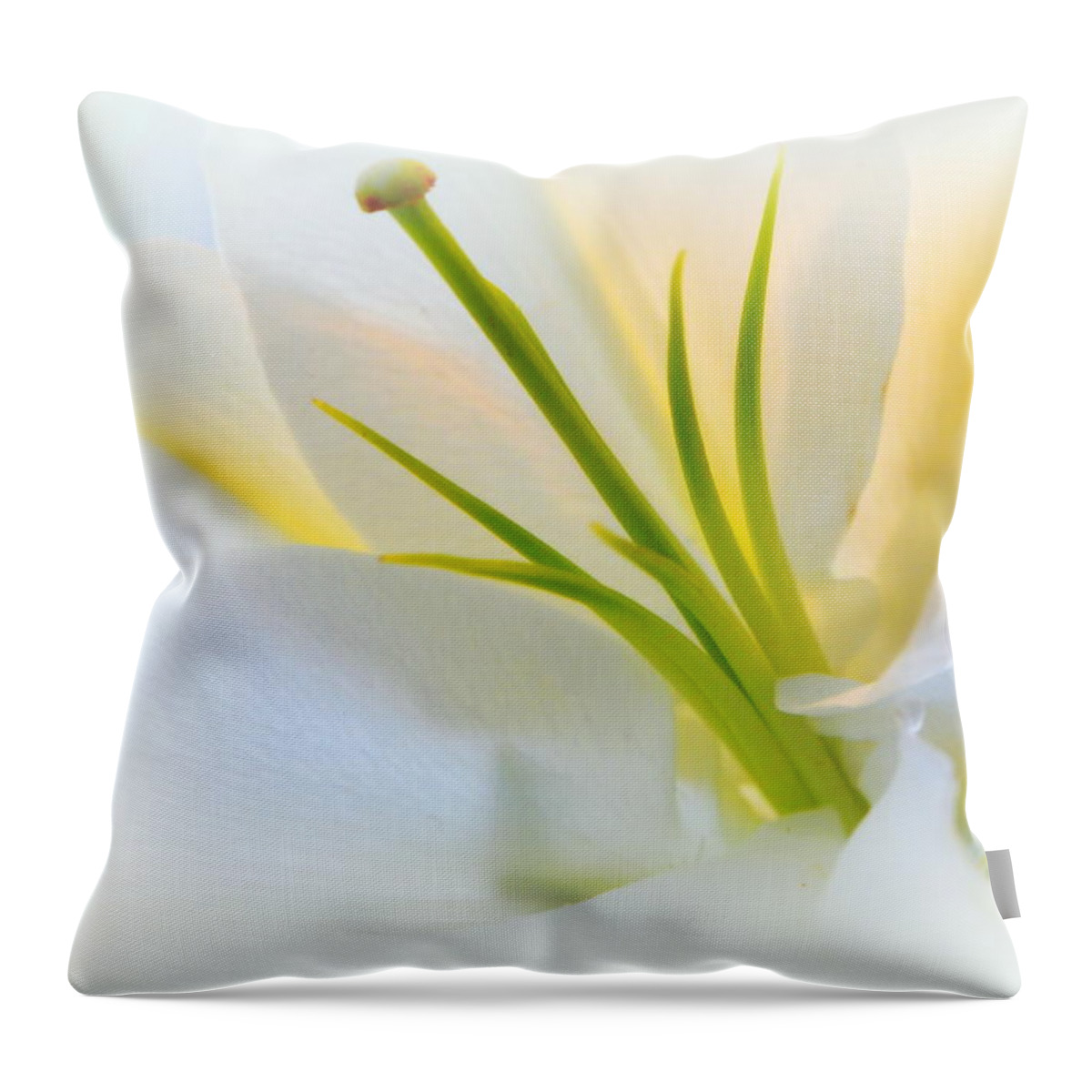 Flower Throw Pillow featuring the photograph I Must Be Dreaming.... by Tanya Tanski