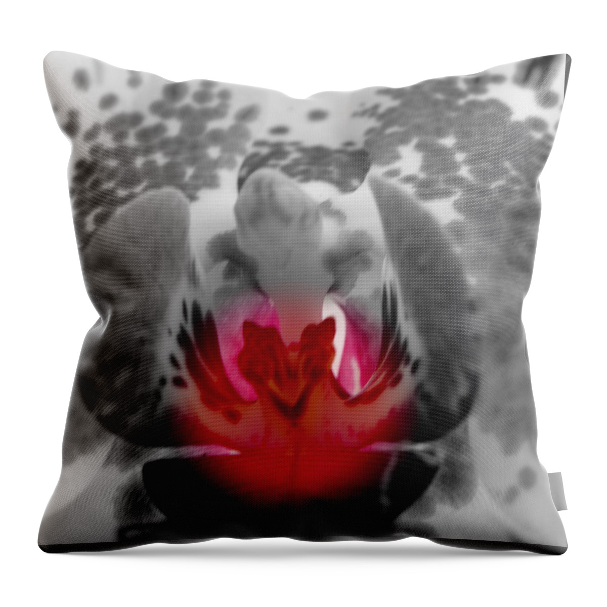 Black And White Flower With A Touch Of Color Throw Pillow featuring the photograph Just A Touch #1 by Kim Galluzzo