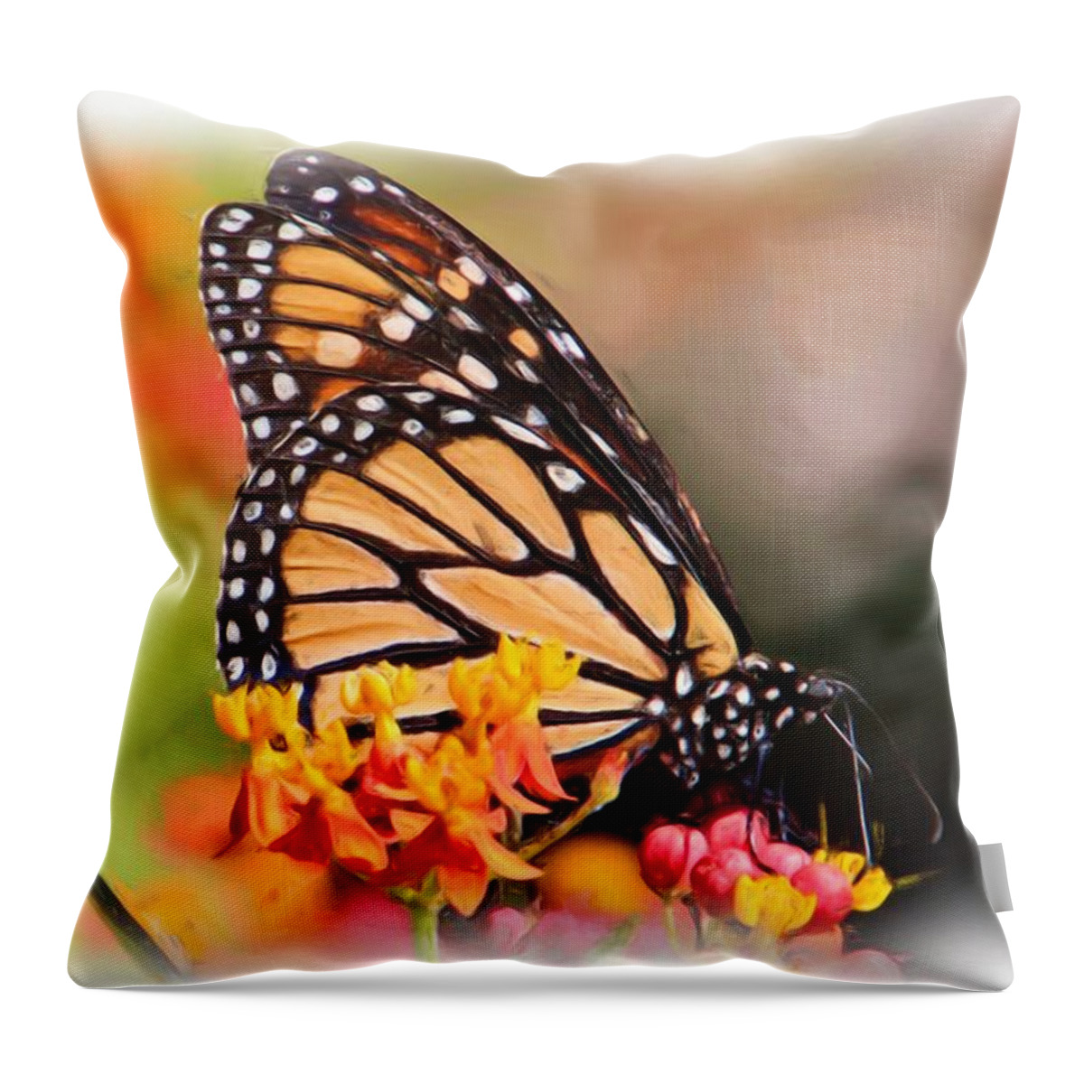 Monarch Throw Pillow featuring the photograph Monarch And Milkweed #1 by Heidi Smith