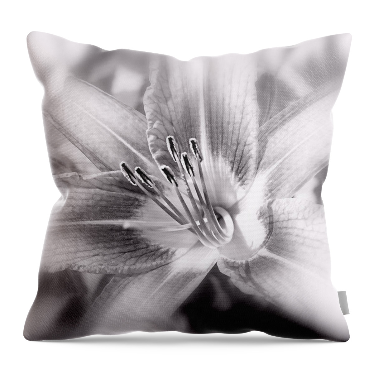 Flower Throw Pillow featuring the photograph Morning Stretch #1 by Adam Vance
