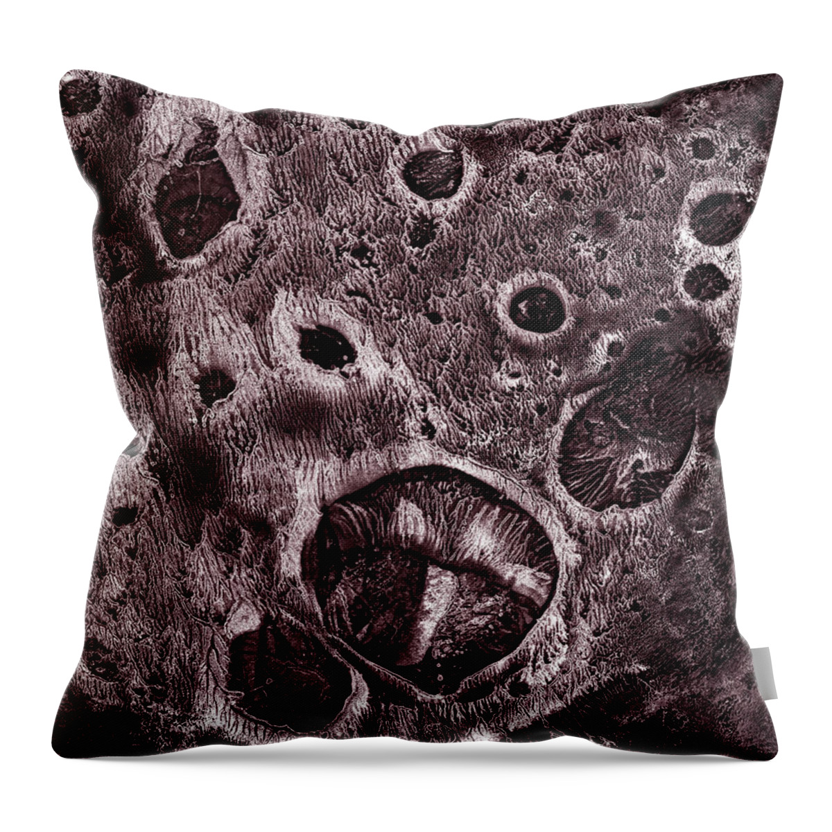 Cliche Verre Throw Pillow featuring the painting Mysteries Within #1 by Murray Bloom