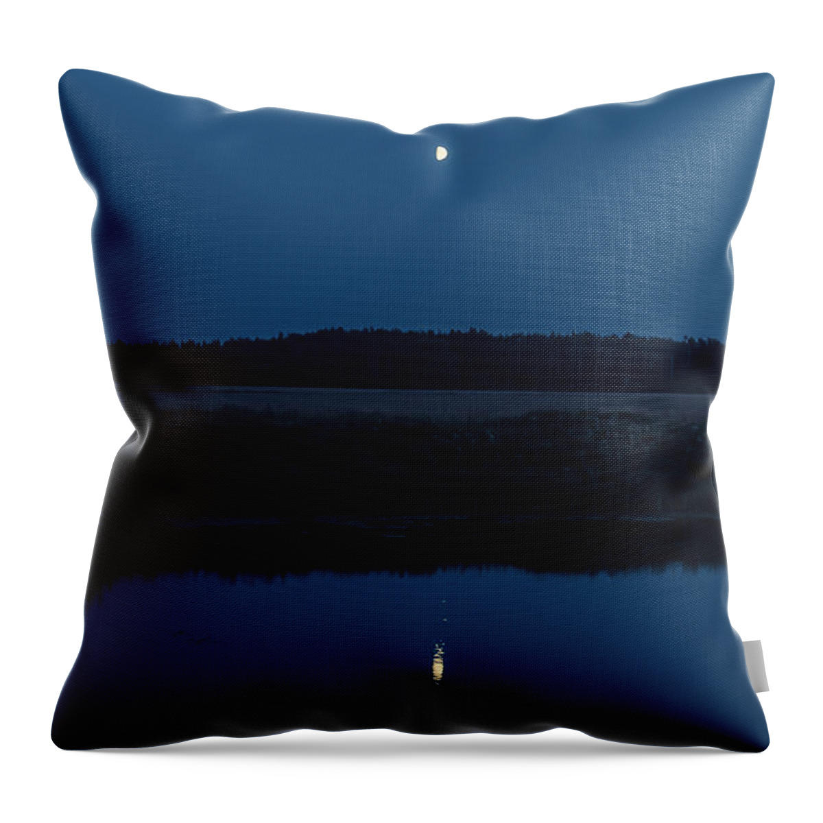 Landscape Throw Pillow featuring the photograph Night landscape #1 by Michael Goyberg
