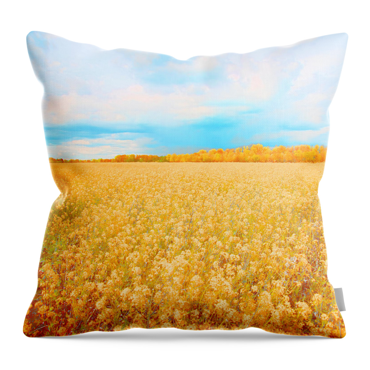 Rural Photo Throw Pillow featuring the photograph On a Clear Day #1 by Bonnie Bruno