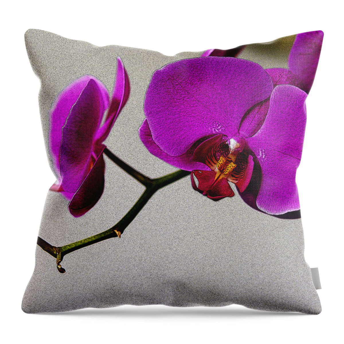 Orchid Throw Pillow featuring the photograph Orchid #1 by Dragan Kudjerski