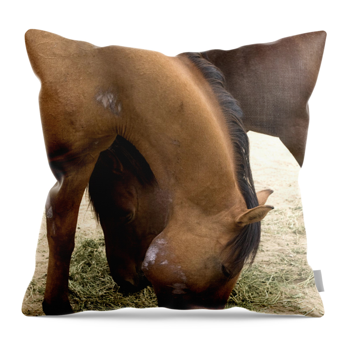 Ponies Throw Pillow featuring the photograph Parallel Ponies #1 by Lorraine Devon Wilke