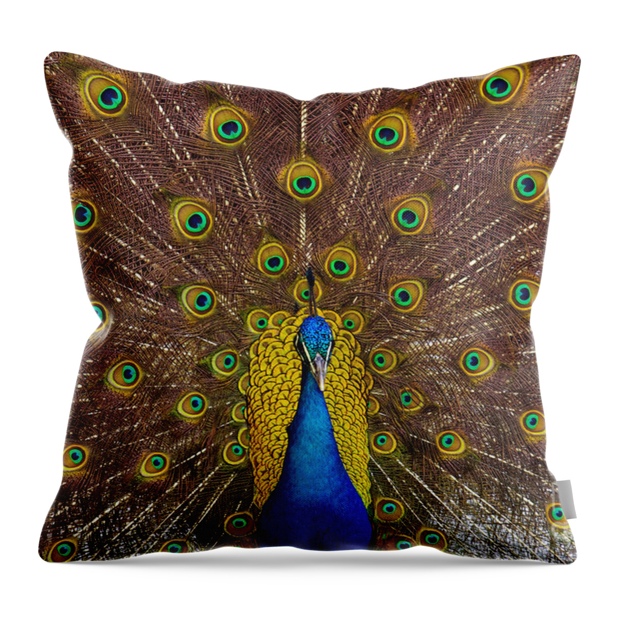 Animal Throw Pillow featuring the photograph Peacock #1 by Carlos Caetano