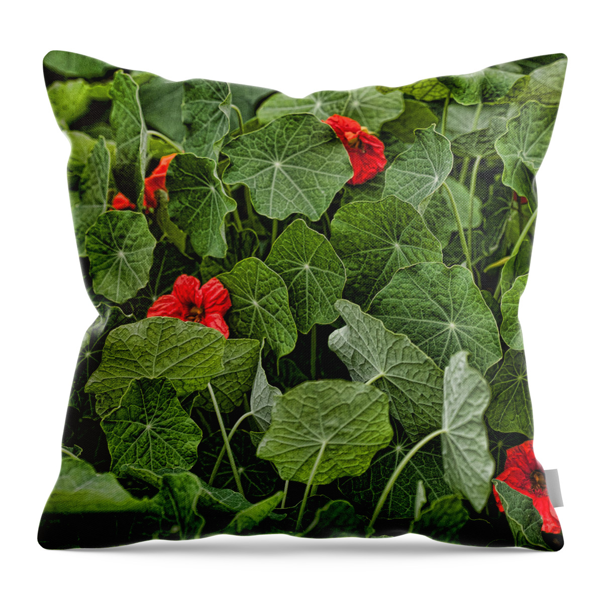 Ruffly Leaves Throw Pillow featuring the photograph Peekaboo #1 by Bonnie Bruno