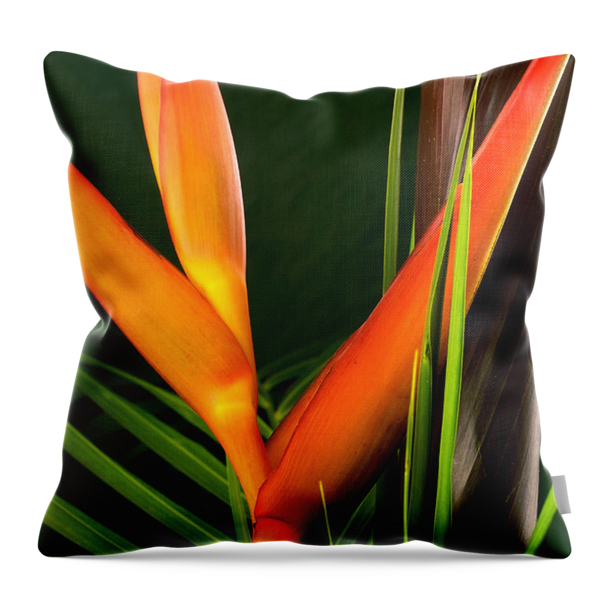 Flowers Throw Pillow featuring the photograph Photograph of a Parrot Flower Heliconia #1 by Perla Copernik