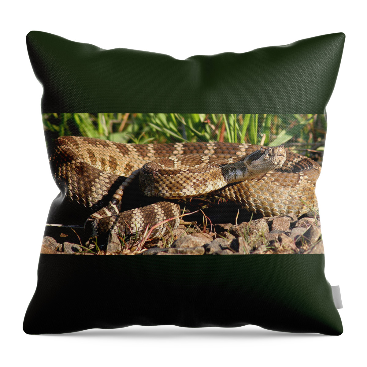 Animals Throw Pillow featuring the photograph Rattlesnake #1 by Jean Noren