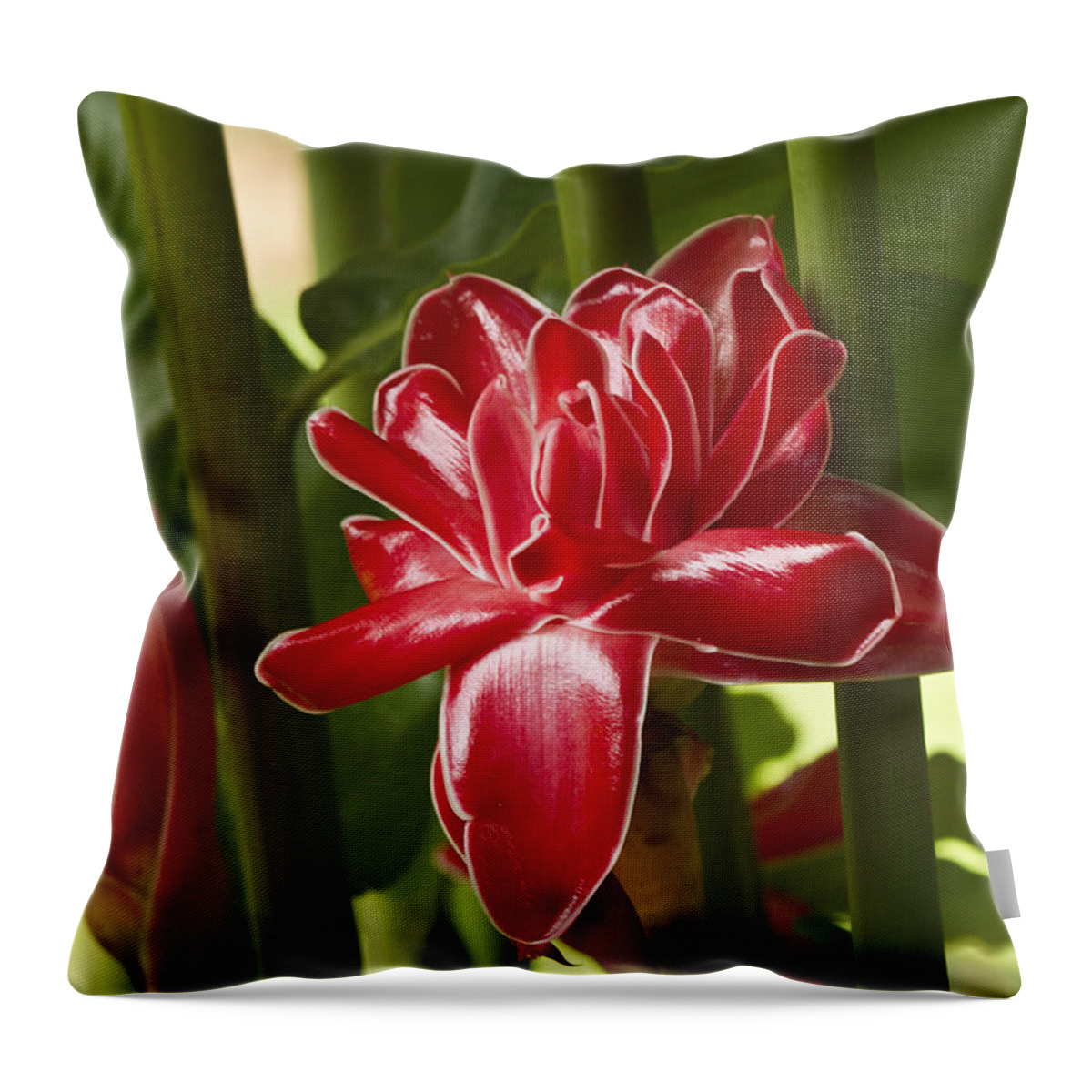 Nature Throw Pillow featuring the photograph Red Ginger Lily #1 by Heiko Koehrer-Wagner