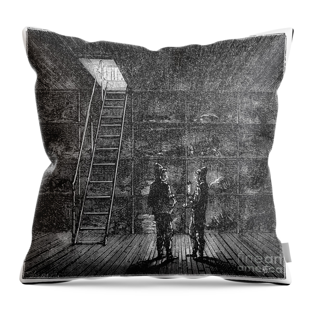 1876 Throw Pillow featuring the photograph Refrigerated Ship, 1876 #1 by Granger