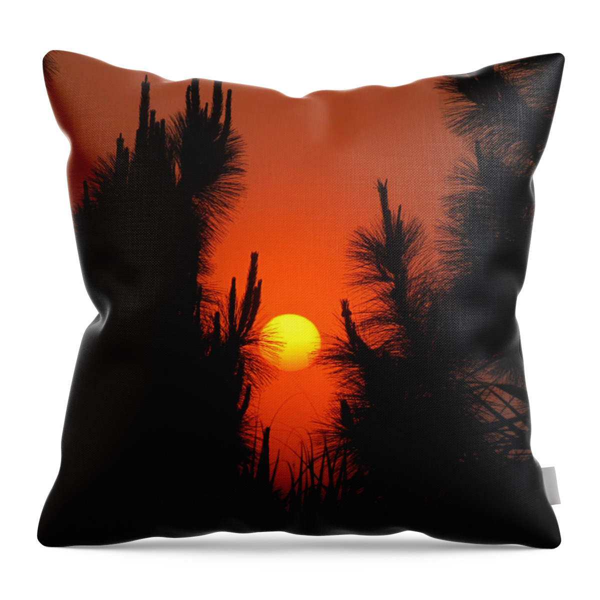 Nature Throw Pillow featuring the photograph Rise and Pine #1 by Peggy Urban