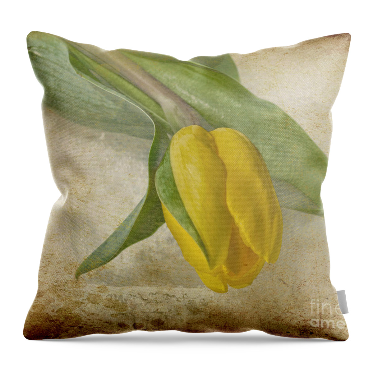 Flower Throw Pillow featuring the photograph Romance #1 by Traci Cottingham