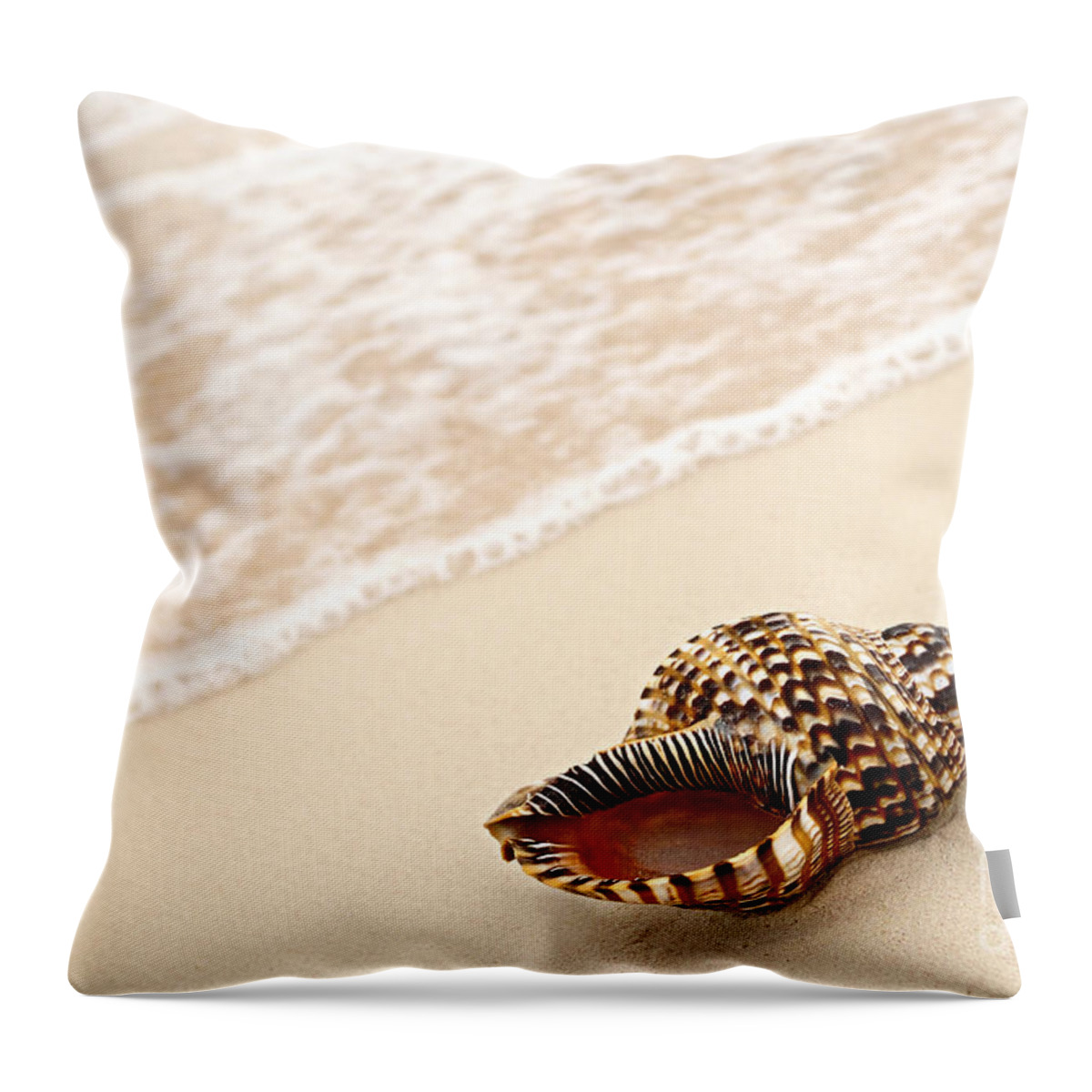 Seashell Throw Pillow featuring the photograph Seashell and ocean wave 3 by Elena Elisseeva