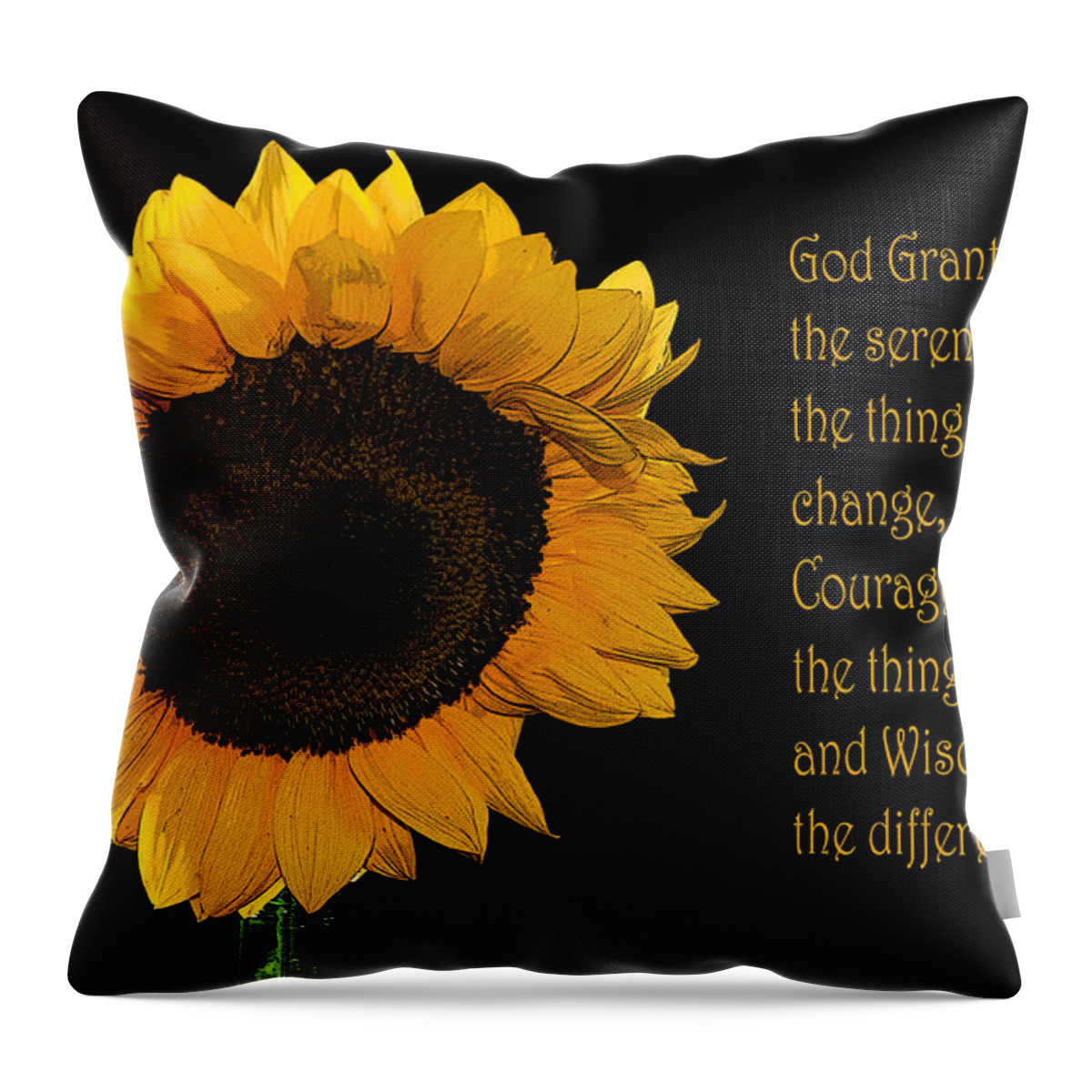 Serenity Throw Pillow featuring the photograph Serenity Prayer by Cathy Kovarik