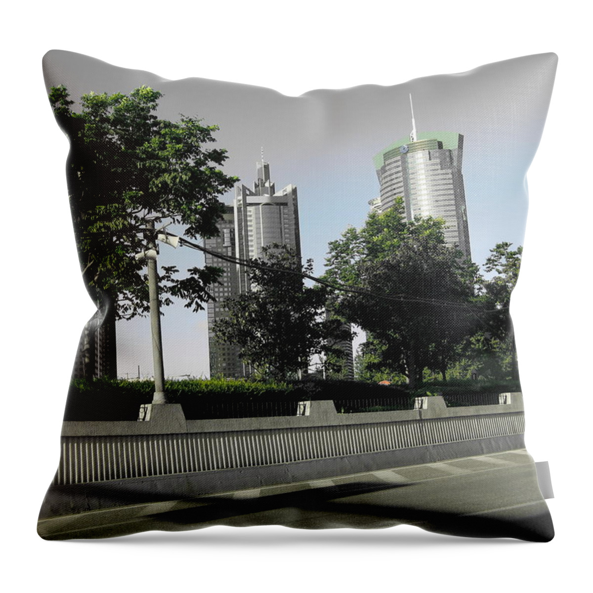Shanghai Throw Pillow featuring the photograph Shanghai Noon #1 by Robert Margetts