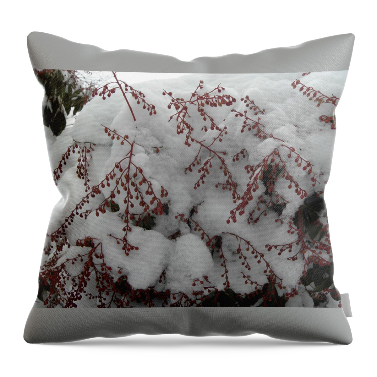 Snow Throw Pillow featuring the photograph Snow Covered #1 by Kim Galluzzo