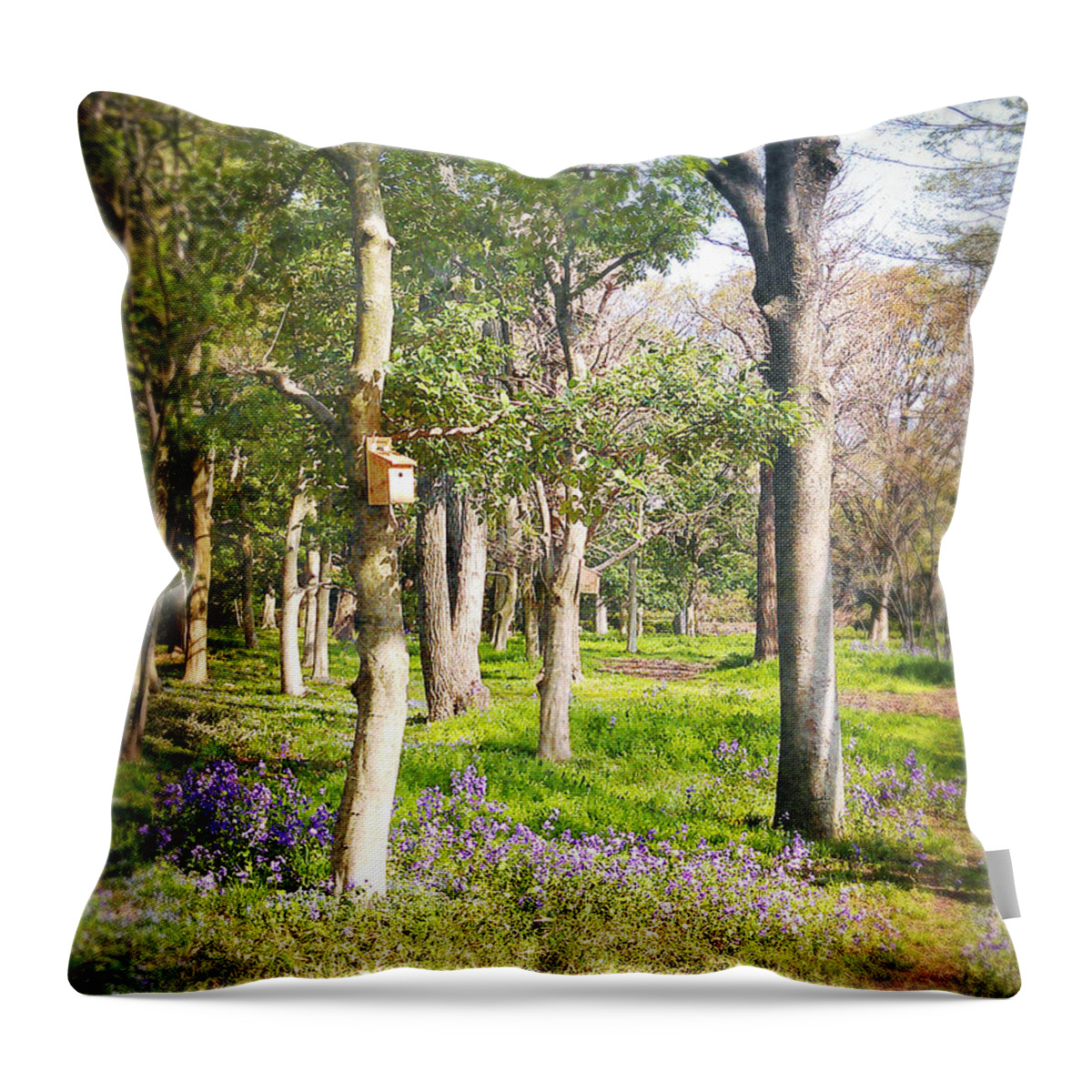 Tree Throw Pillow featuring the photograph Spring Awakening #1 by Eena Bo
