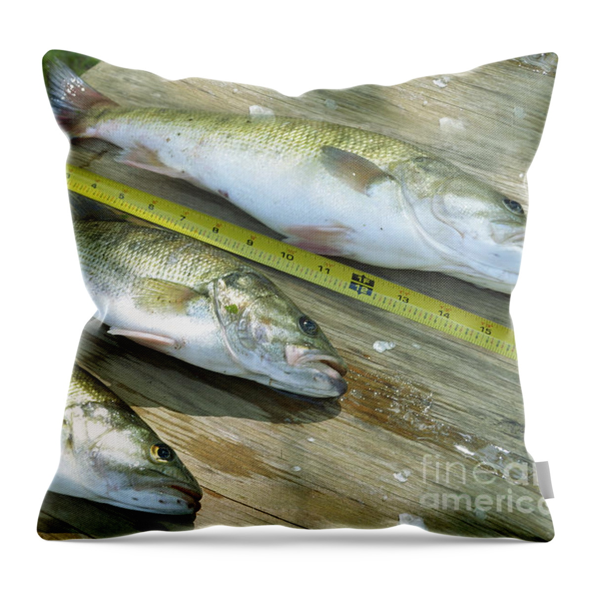 Fish Throw Pillow featuring the photograph The Catch Of The Day #2 by Donna Brown