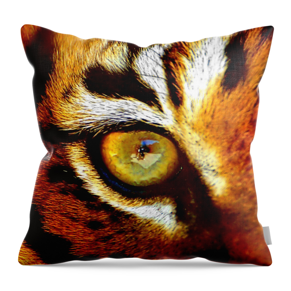Tiger Throw Pillow featuring the photograph Tigers Eye #1 by Marlo Horne