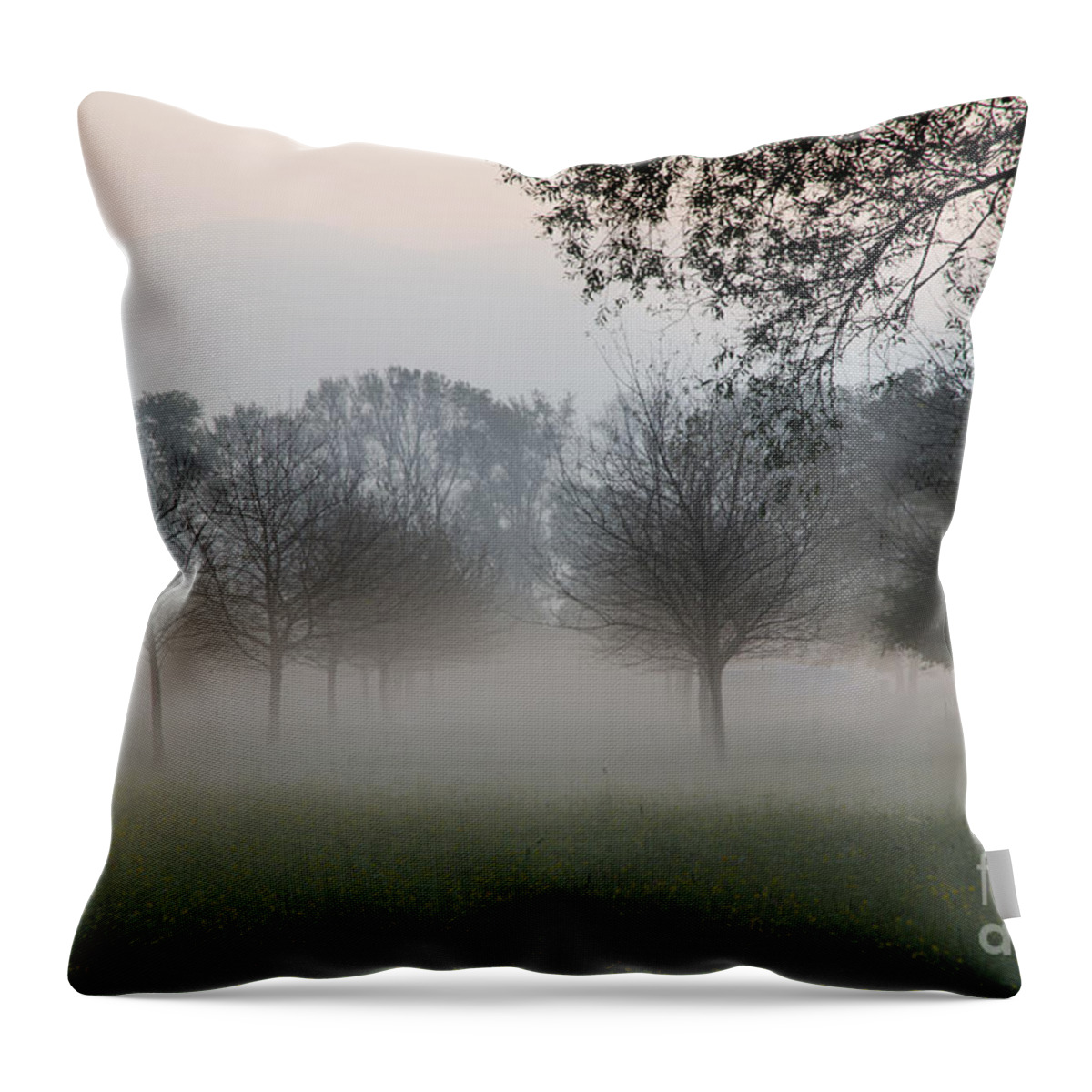 Trees Throw Pillow featuring the photograph Trees and fog #1 by Mats Silvan