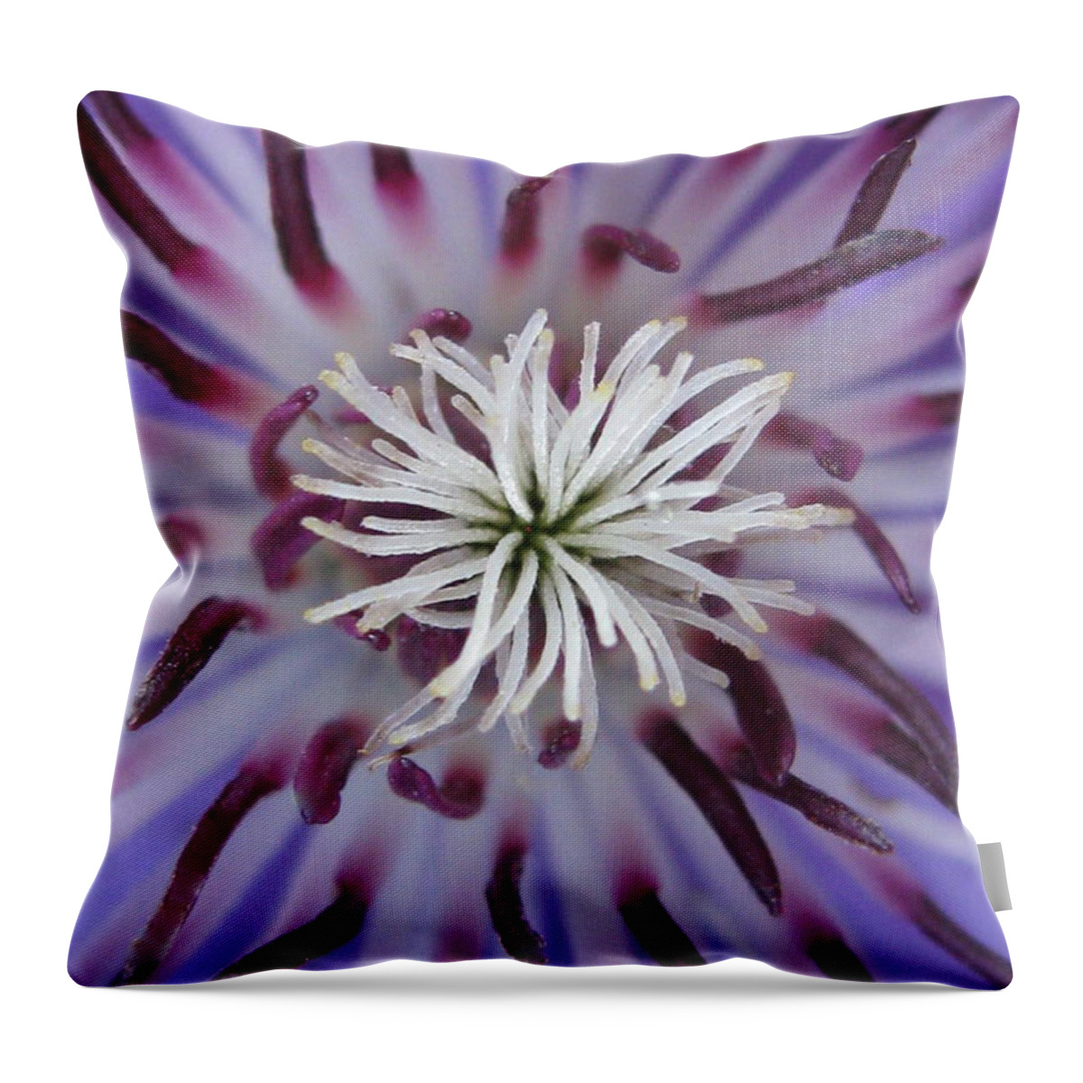 Flower Throw Pillow featuring the photograph Underrated #1 by Holy Hands