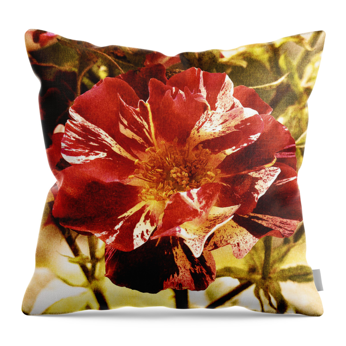 Vintage Style Throw Pillow featuring the photograph Vintage Rose #1 by Bonnie Bruno