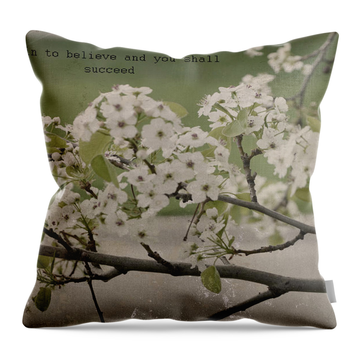 Begin To Believe Throw Pillow featuring the photograph Vintage Spring #1 by Traci Cottingham
