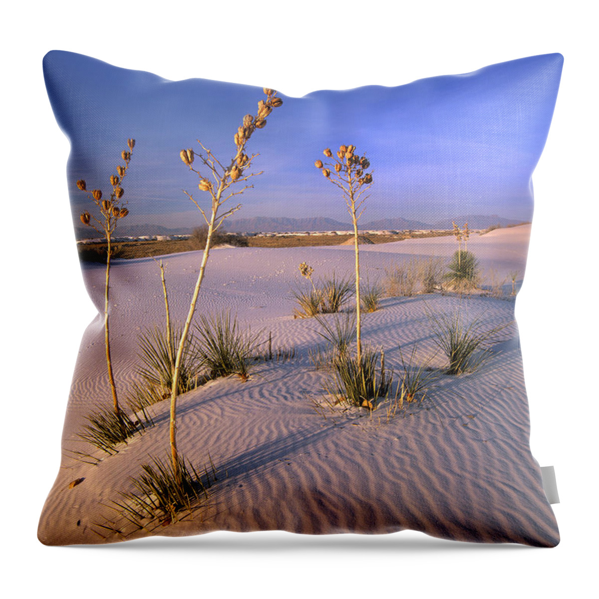 00176857 Throw Pillow featuring the photograph White Sands National Monument New Mexico #1 by Tim Fitzharris