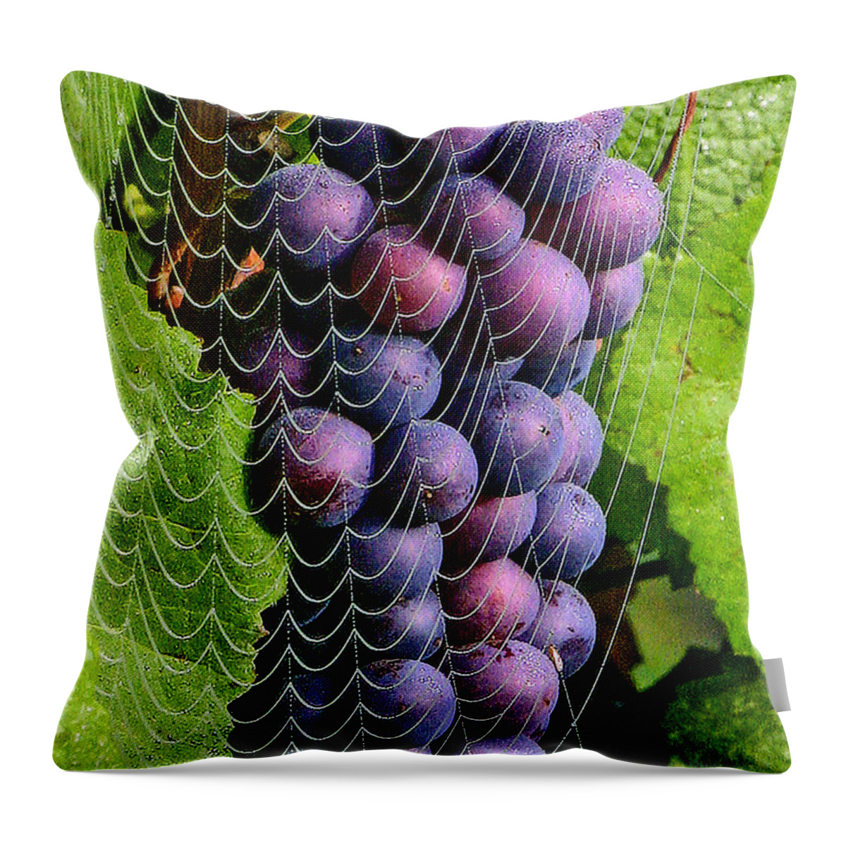 Wine In A Web Throw Pillow featuring the photograph Wine in a web 2 by Jean Noren