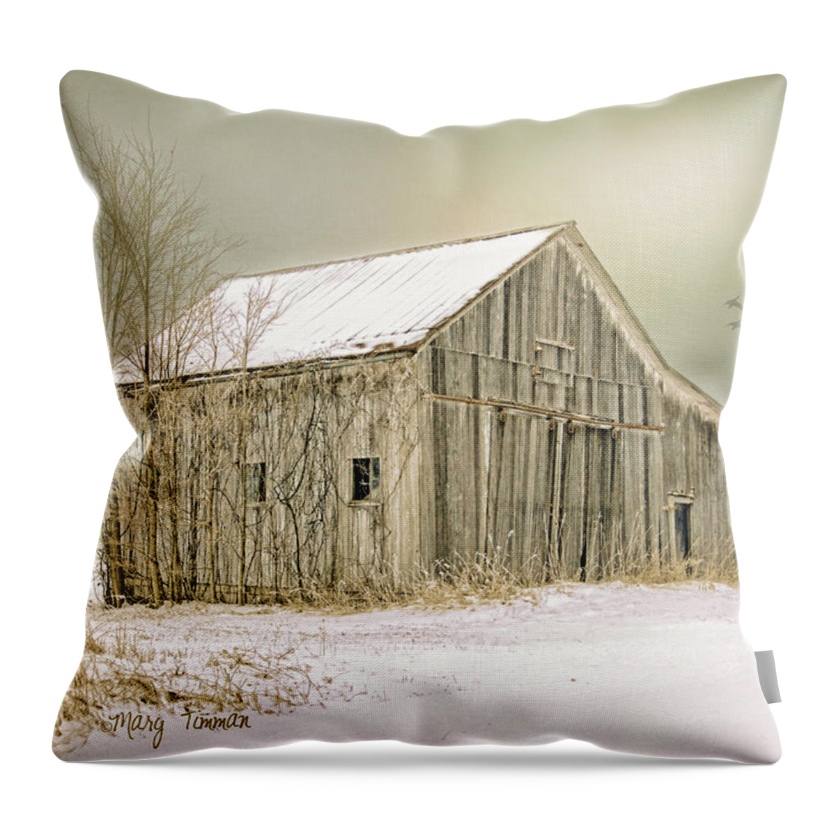 Barns Throw Pillow featuring the photograph Winter's Barn #1 by Mary Timman