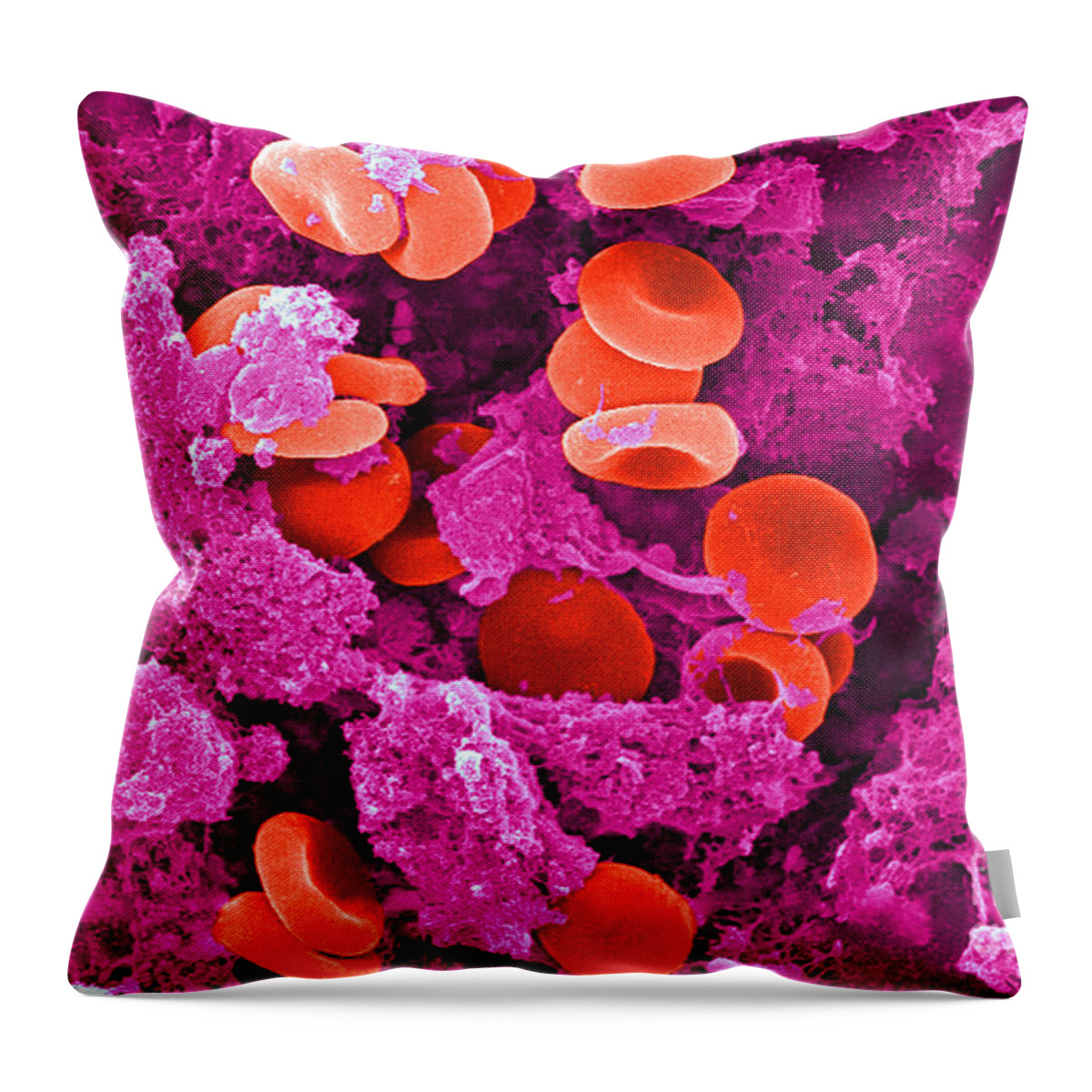 Biology Throw Pillow featuring the photograph Red Blood Cells, Sem #10 by Science Source