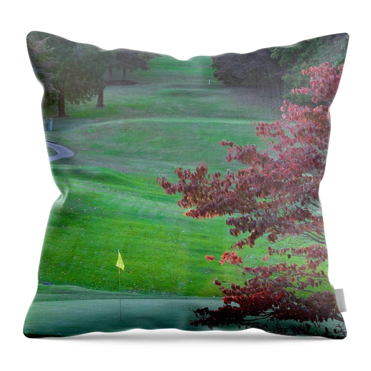 11th Hole Throw Pillow featuring the photograph 11th Hole at Clarksville C C by Ed Gleichman