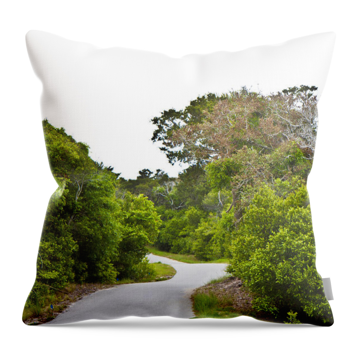 Bald Throw Pillow featuring the photograph Untitled #14 by Betsy Knapp