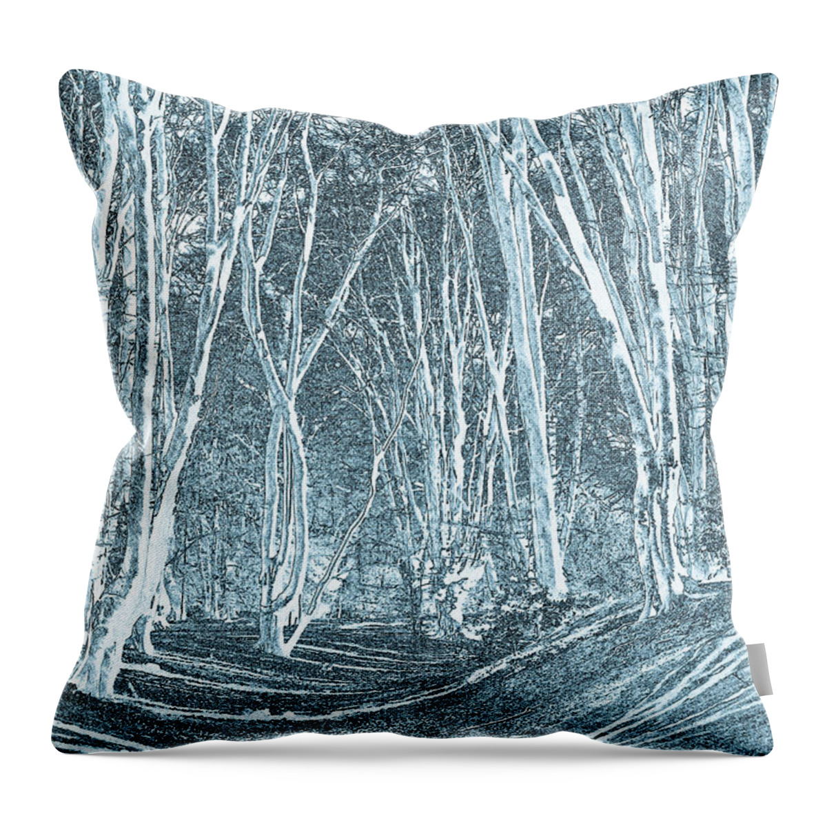 Fort Throw Pillow featuring the digital art Ambresbury Banks Iron Age fortification #2 by David Pyatt
