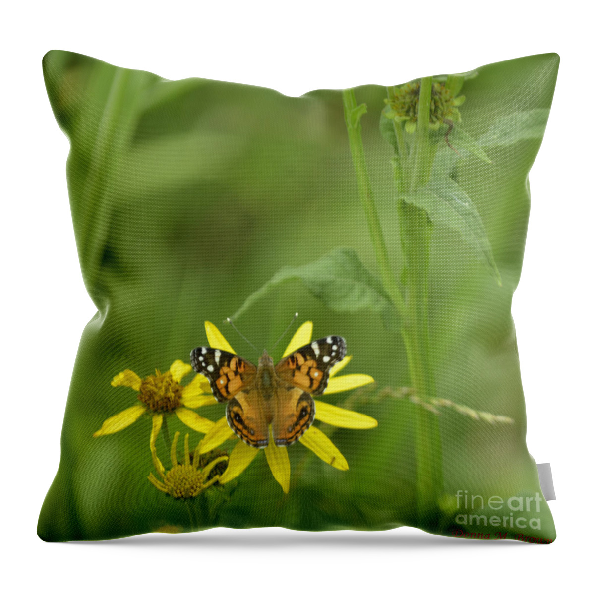 Butterfly Throw Pillow featuring the photograph American Painted Lady #2 by Donna Brown