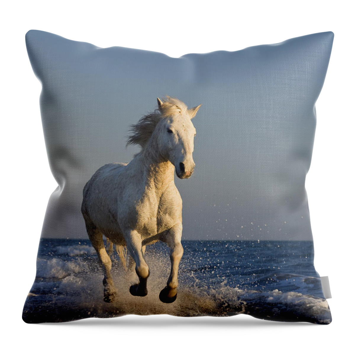 Mp Throw Pillow featuring the photograph Camargue Horse Equus Caballus Running #2 by Konrad Wothe