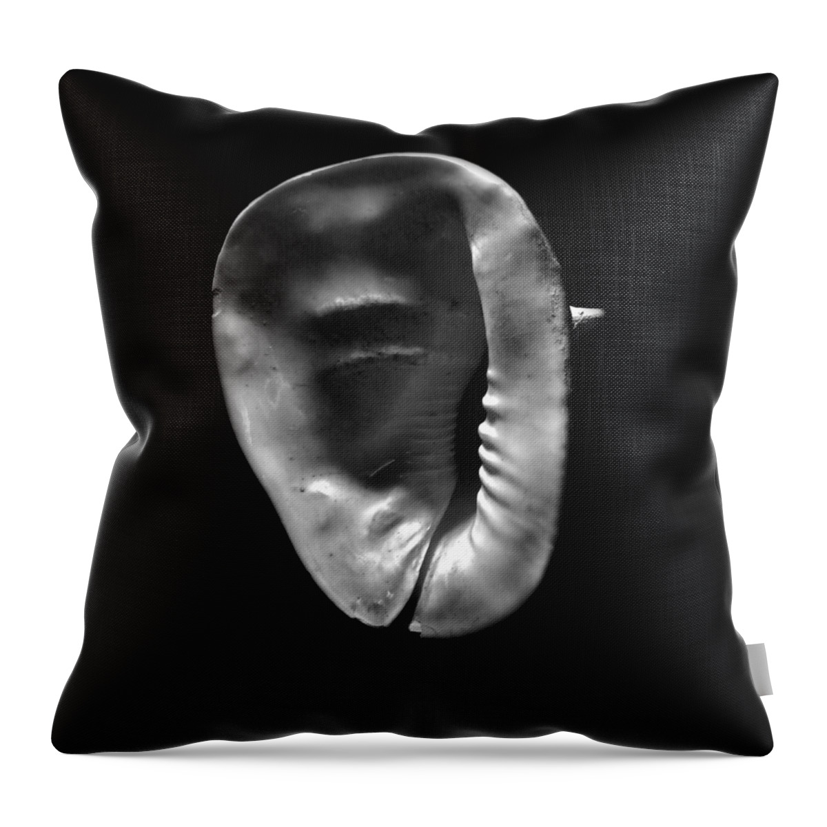 Seashells Throw Pillow featuring the photograph Horned Helmet Shell Cassis cornuta #2 by Frank Wilson