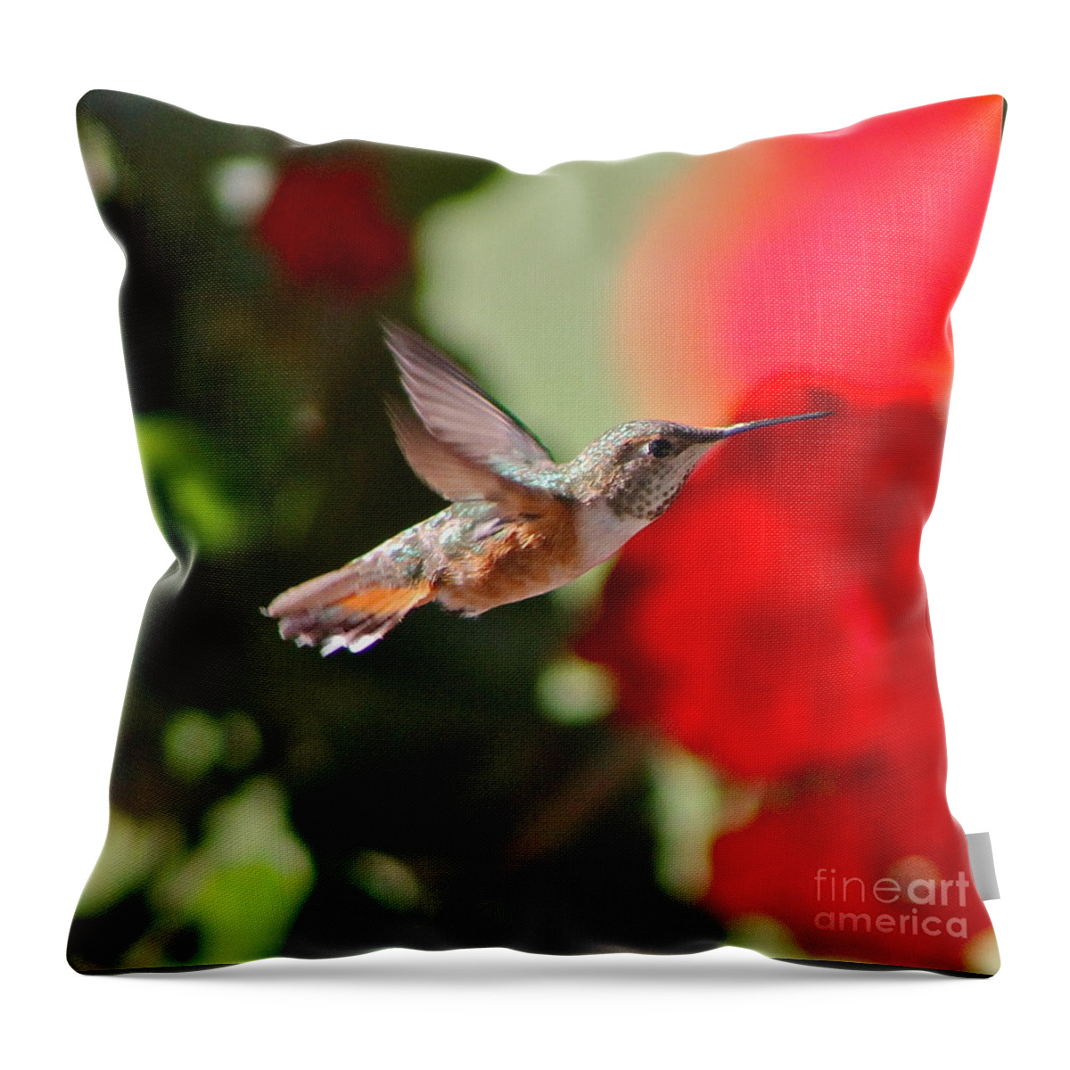 Hummingbird Throw Pillow featuring the photograph Hummingbird 3 by Pamela Walrath