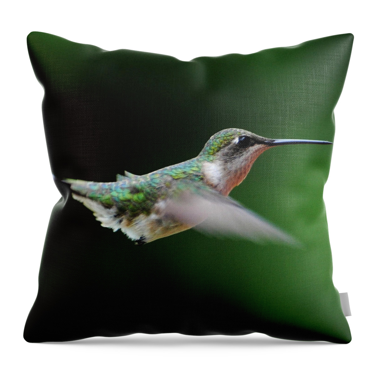 Avian Throw Pillow featuring the photograph Hummingbird in Flight #5 by Jai Johnson