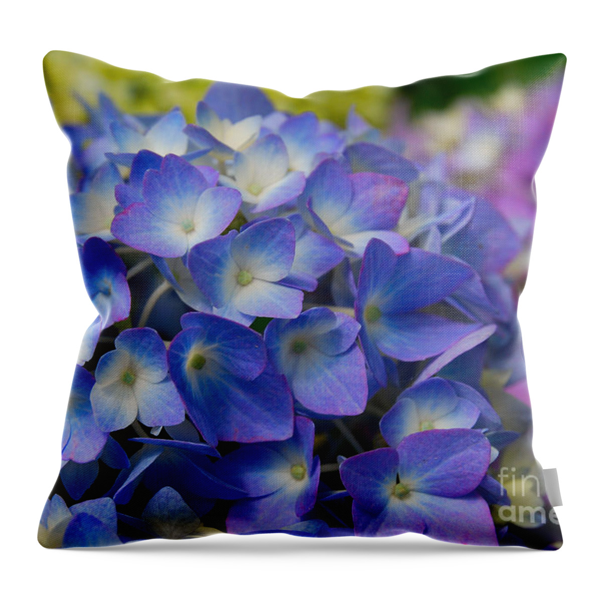 Hydrangea Throw Pillow featuring the digital art Hydrangea 4 by Eva Kaufman