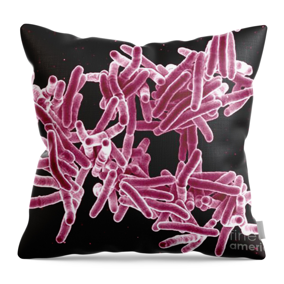 Microbiology Throw Pillow featuring the photograph Mycobacterium Tuberculosis Bacteria, Sem #2 by Science Source