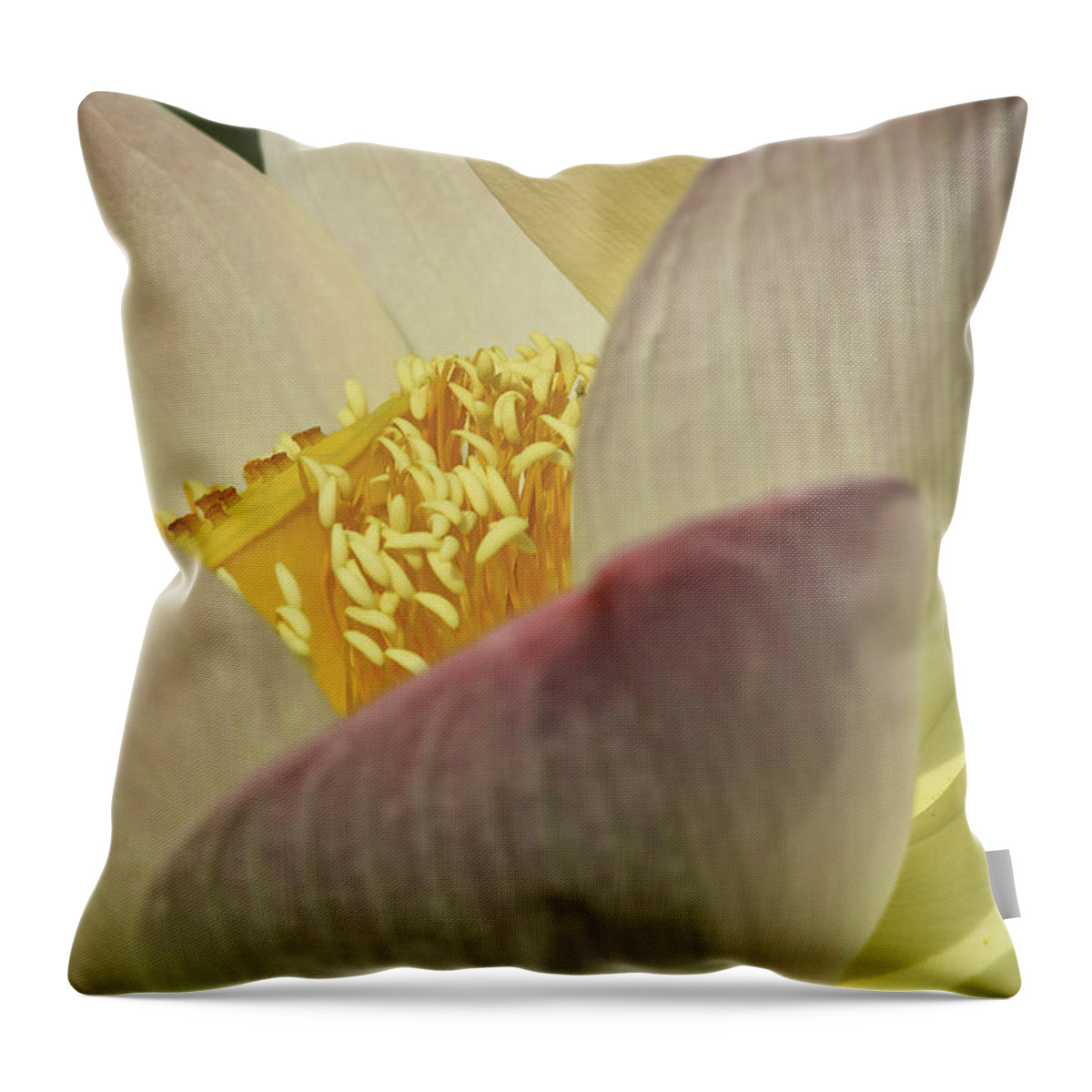 Kenilworth Aquatic Park Throw Pillow featuring the photograph Nelumbo 'Pink and Yellow' #3 by Perla Copernik