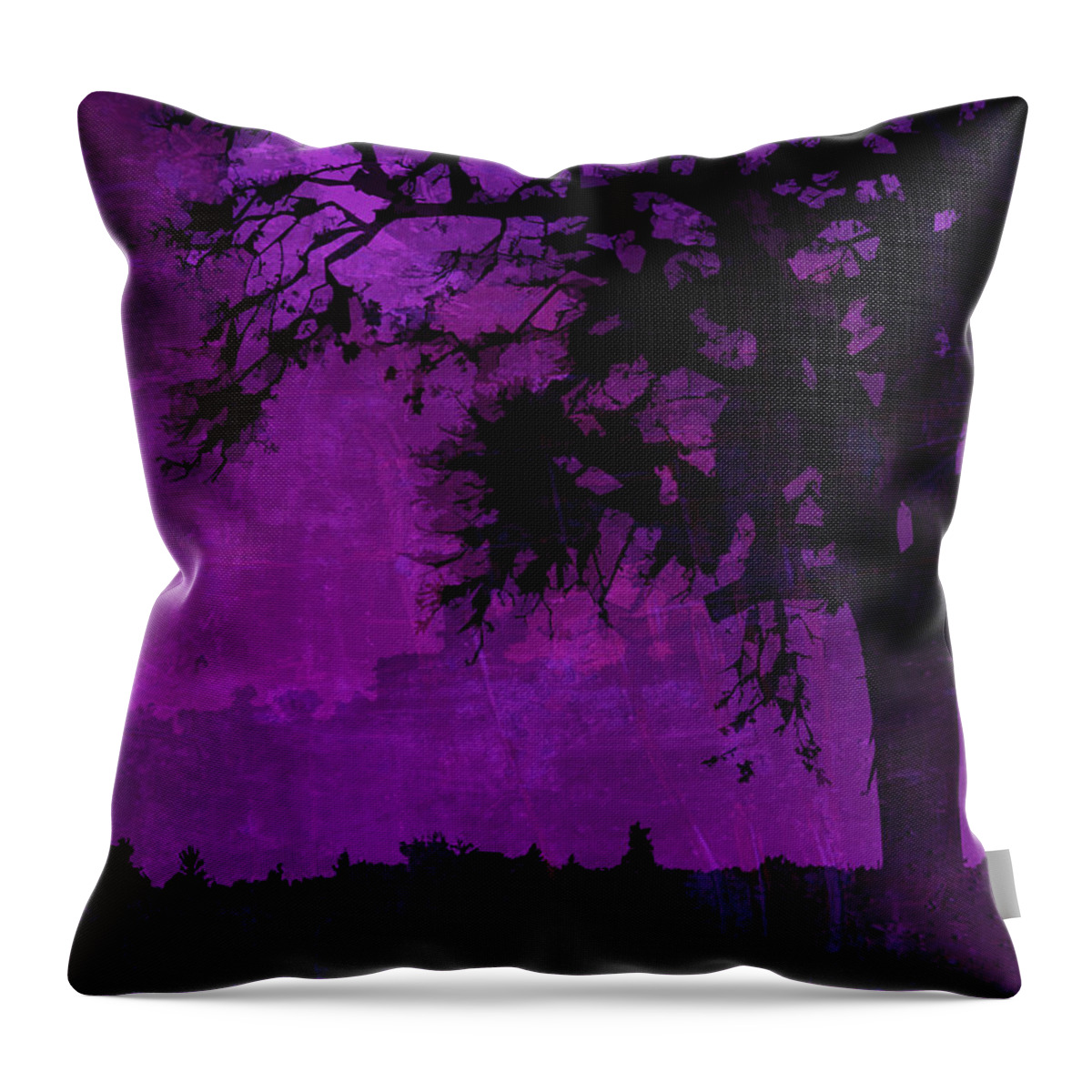 Digital Painting Throw Pillow featuring the photograph Nightfall #2 by Bonnie Bruno