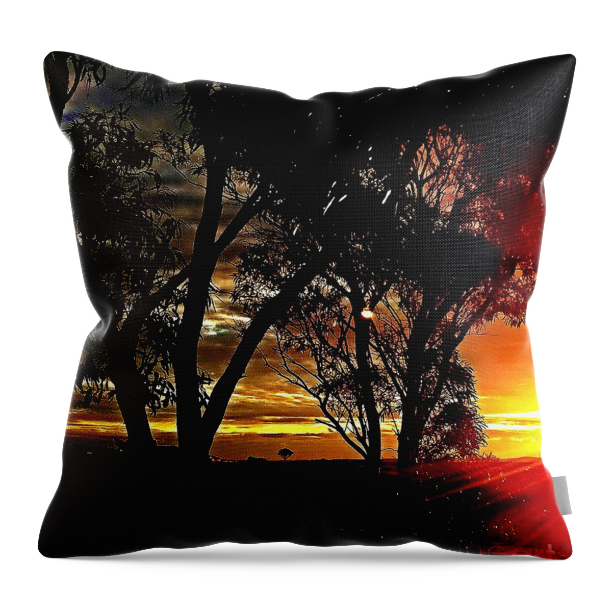 Blair Stuart Throw Pillow featuring the photograph Outback sunset #2 by Blair Stuart
