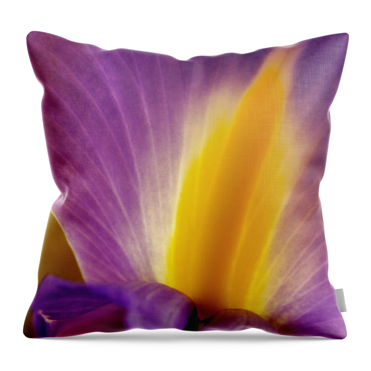 Flowers Throw Pillow featuring the photograph Photograph of a Dutch Iris #3 by Perla Copernik