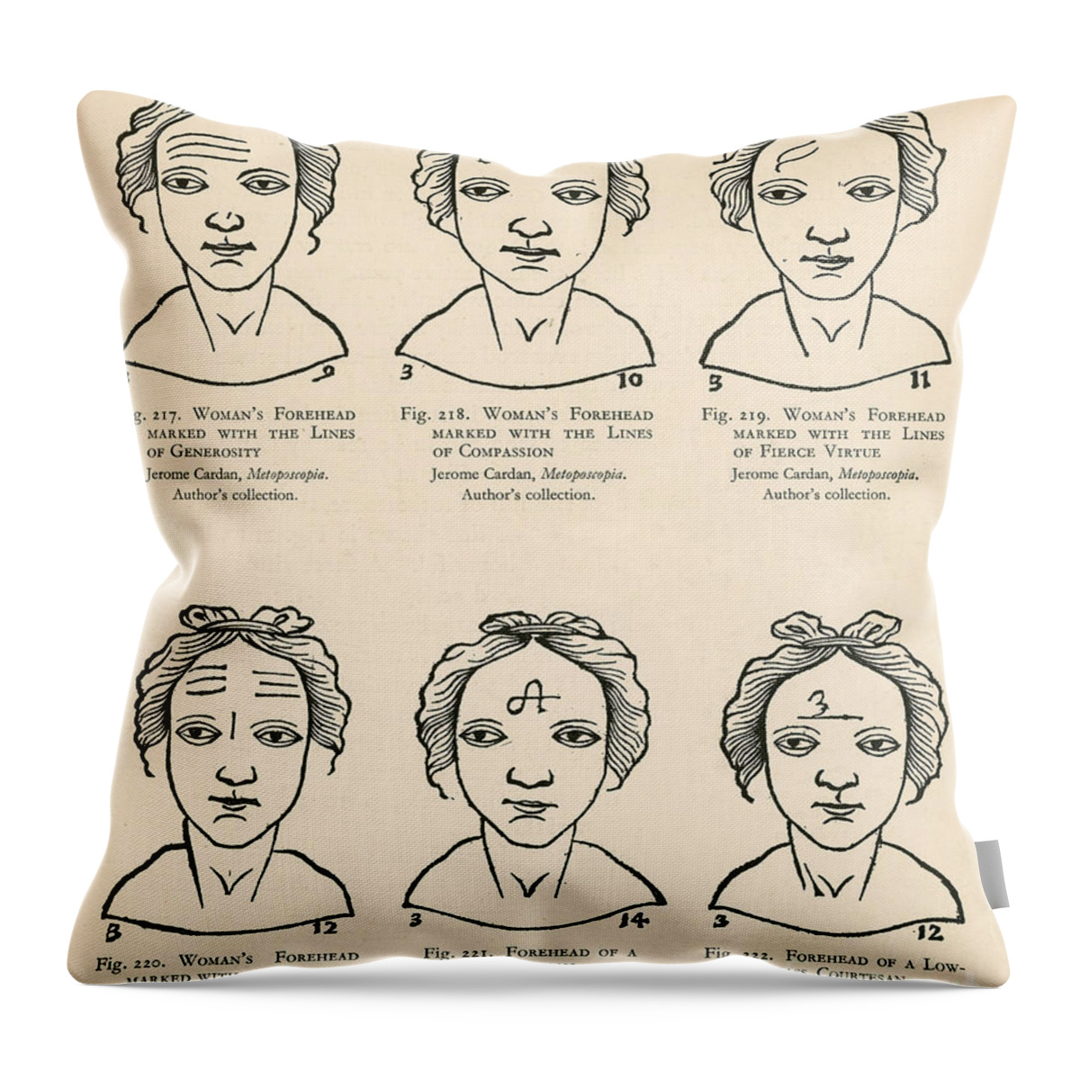 Physiognomy Throw Pillow featuring the photograph Physiognomy #2 by Science Source