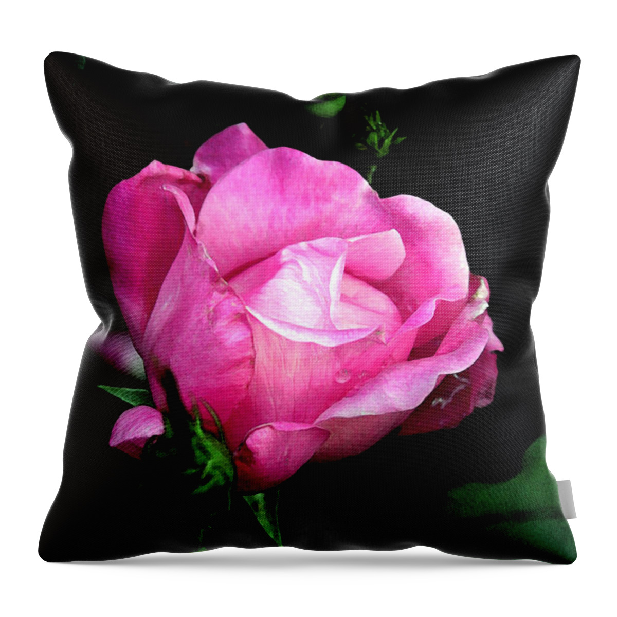 Rose Throw Pillow featuring the photograph Regal Rose by Karen Harrison Brown
